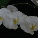 REP_7891