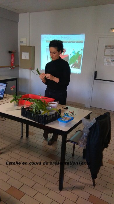 Estelle en cours de présentation