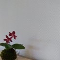 IMAG0839