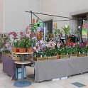 DSCN2695