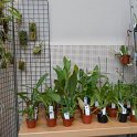 DSCN2697
