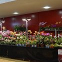 DSC05846