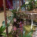 DSC05850