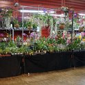 DSC05856