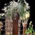 DSC05858